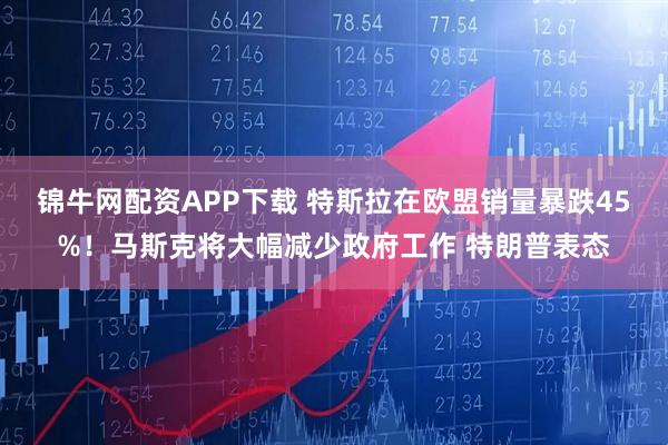 锦牛网配资APP下载 特斯拉在欧盟销量暴跌45%！马斯克将大幅减少政府工作 特朗普表态