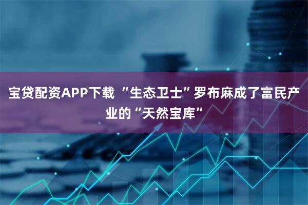宝贷配资APP下载 “生态卫士”罗布麻成了富民产业的“天然宝库”