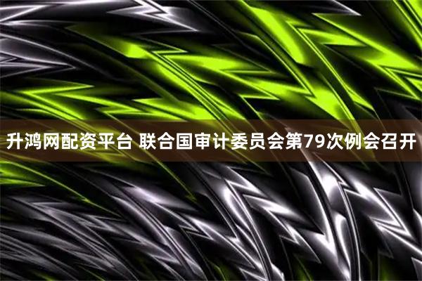 升鸿网配资平台 联合国审计委员会第79次例会召开