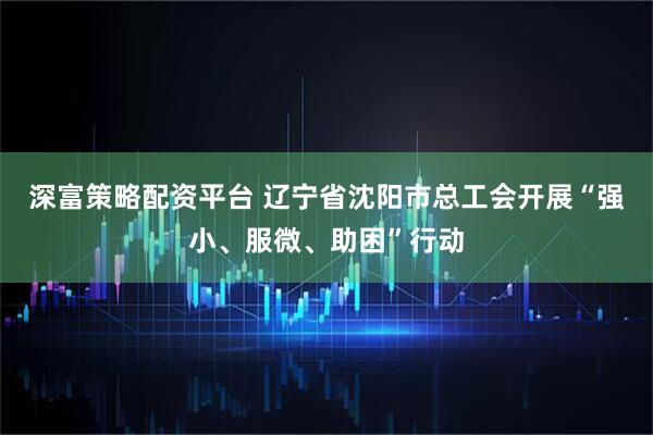 深富策略配资平台 辽宁省沈阳市总工会开展“强小、服微、助困”行动
